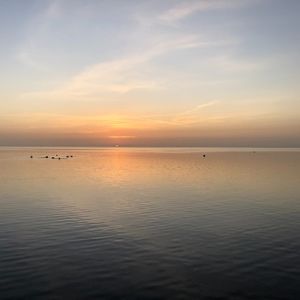 Meet your Posher, Ann